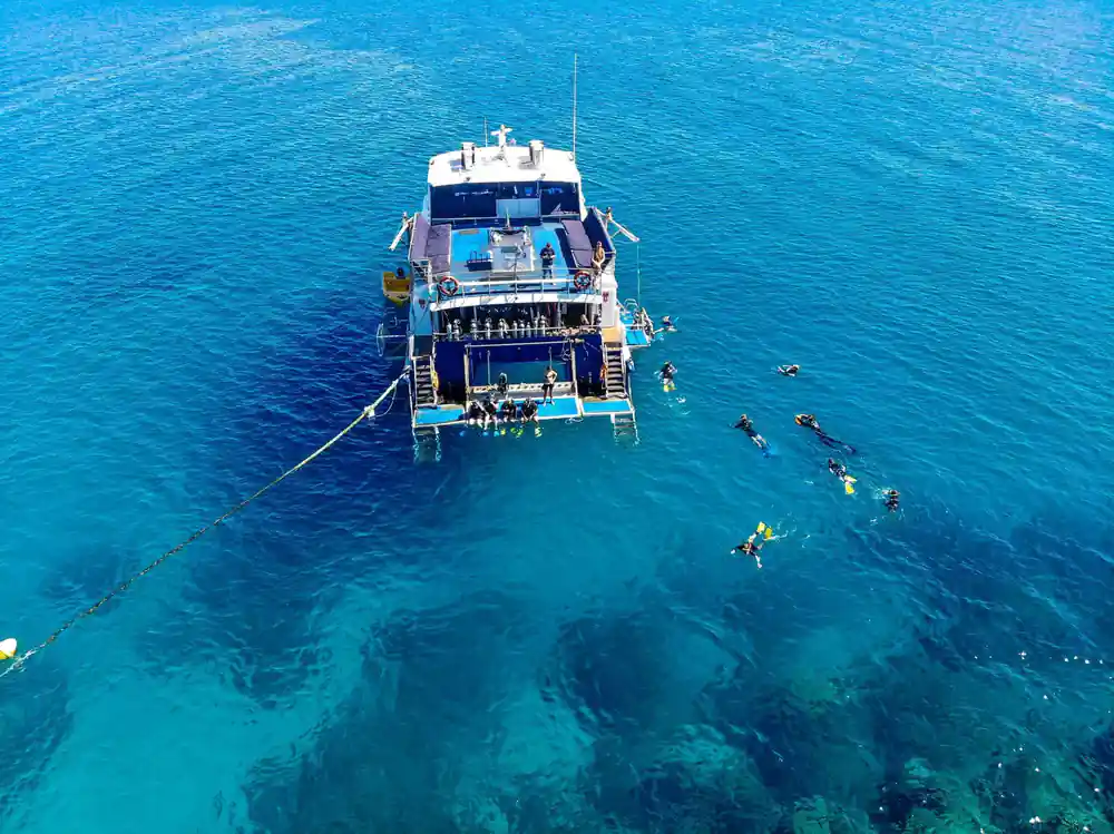 The catamaran moored over the reef with swimmers around it, seen from above