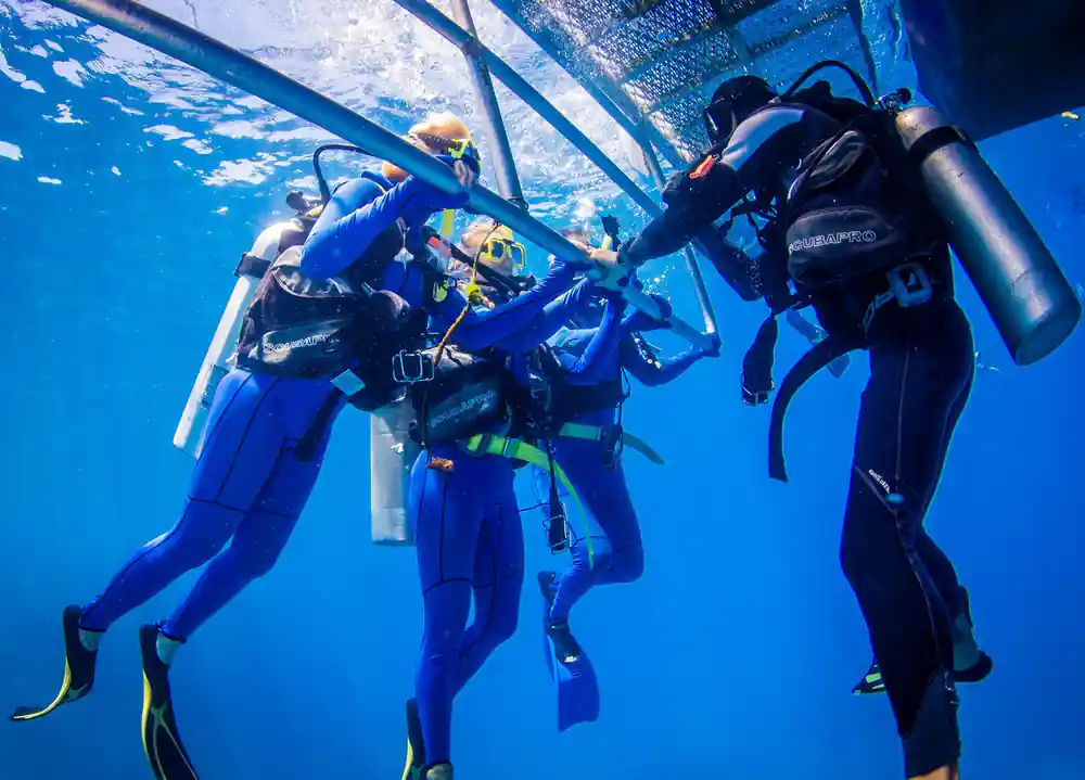 Divers descending in a line through blue water beneath the boat