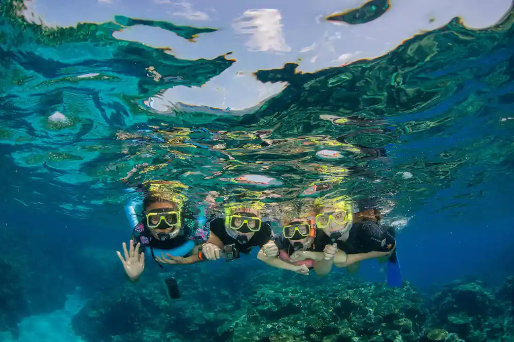 Four snorkellers at the surface above a shallow coral garden