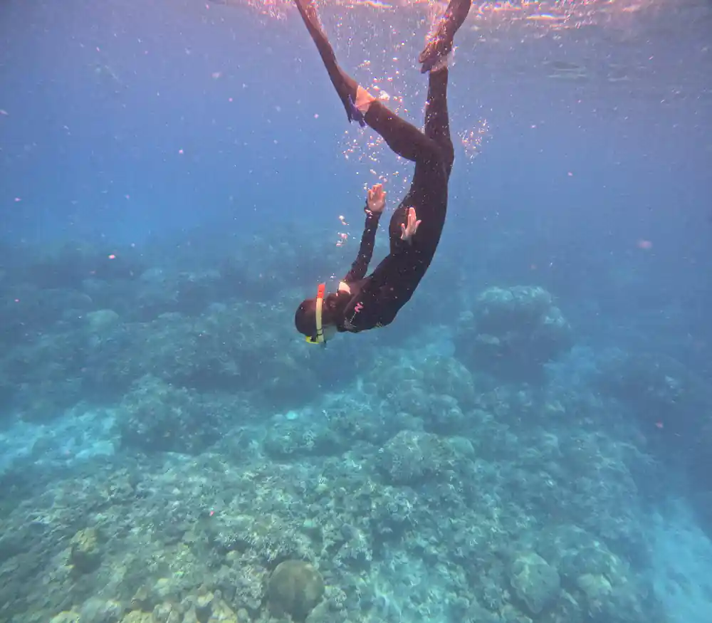 A free diver descending head first towards the coral