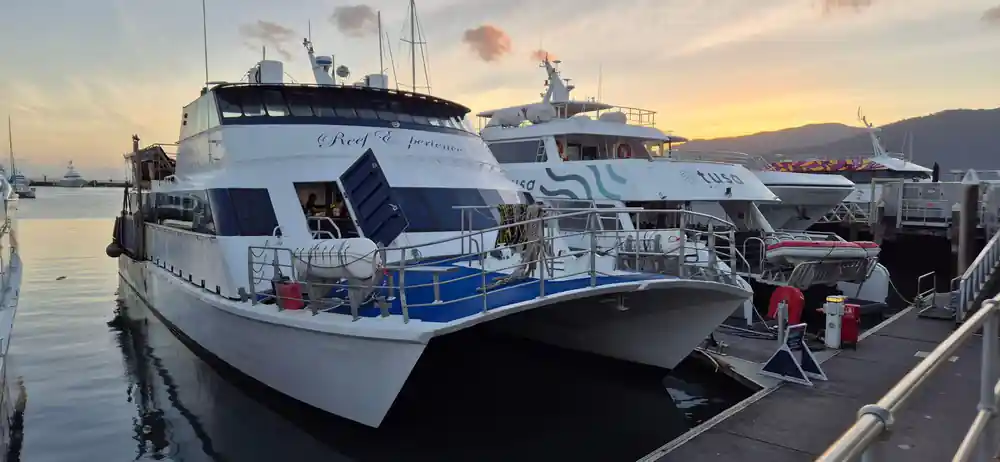 The Reef Experience catamaran alongside the marina at dusk
