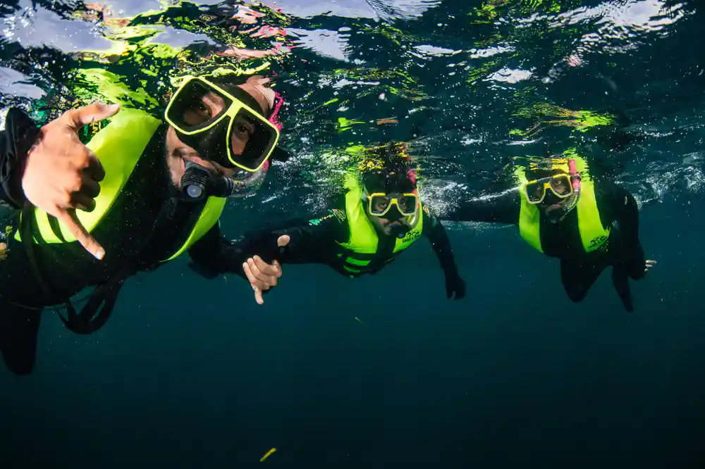 A row of snorkellers floating face down at the surface
