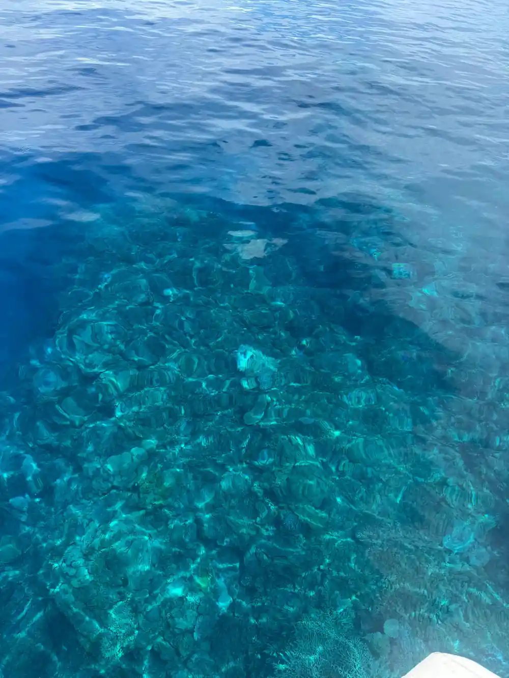 Sunlit shallow water over a broad reef flat