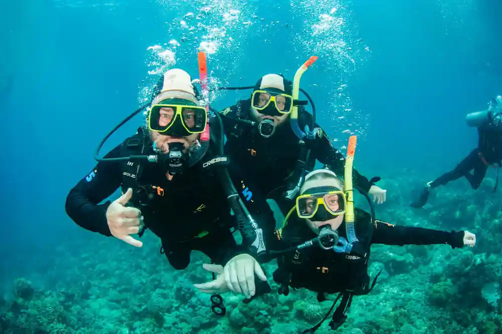 Three divers grouped together above a coral garden